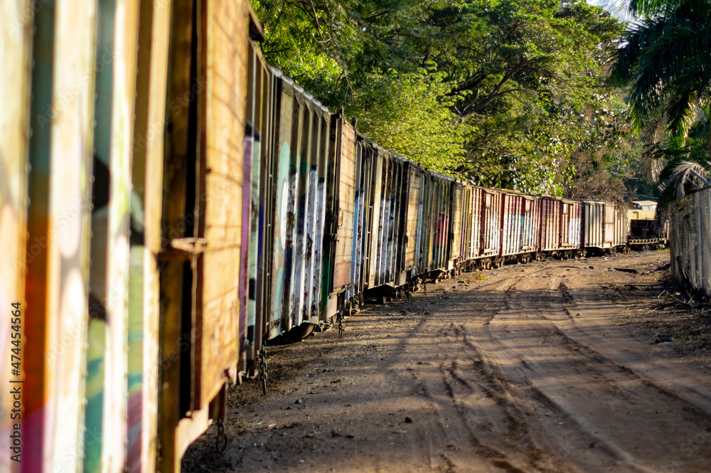 Old colorfully painted abandoned train carriages illuminated by sunset Old colorfully painted abandoned train carriages illuminated by sunset