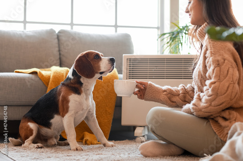 Woman and cute Beagle dog n...