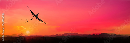 Amazing sunset and sunrise.Panorama silhouette tree in africa with sunset.Dark tree on open field dramatic sunrise. 