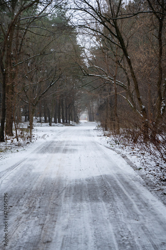 Droga przez zimowy las, ścieżka przez las, leśna droga leśna ścieżka, ścieżka 