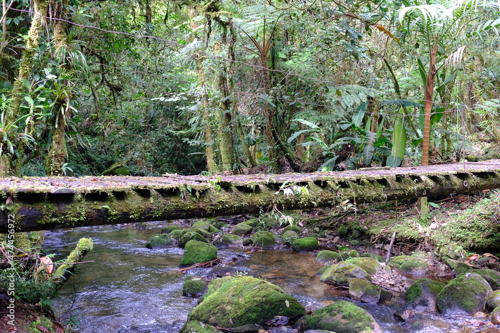 Panama Boquete -Sendero Culebra Hiking area - Pipeline Trail