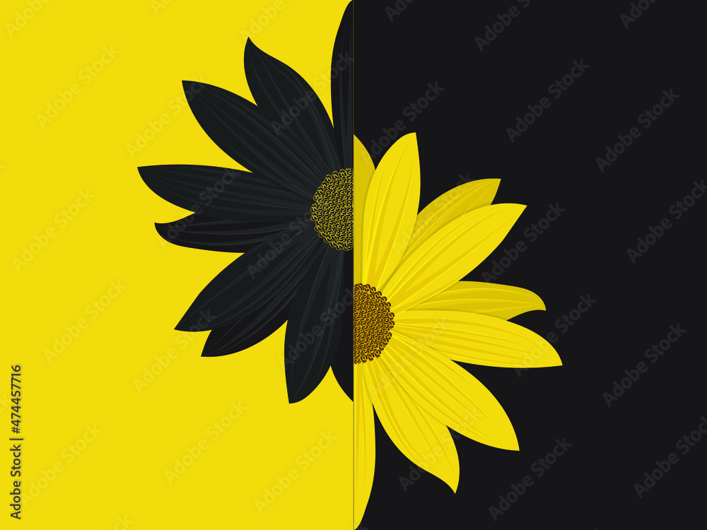 Obraz premium yellow flower on black background