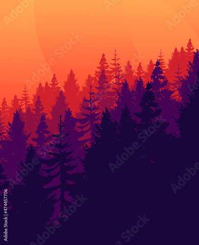 Pine forest scenery
