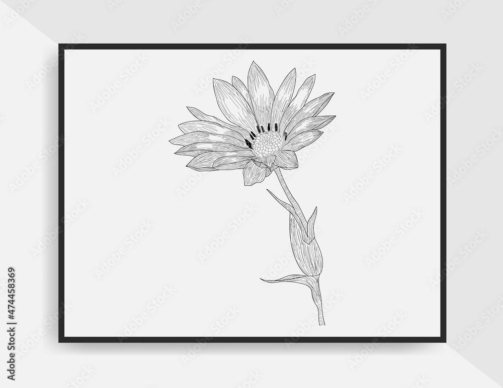 Vintage beautiful illustration line art hand drawn of flower for ...
