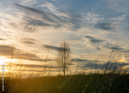 sunset in the field © Сергей Шерстнев