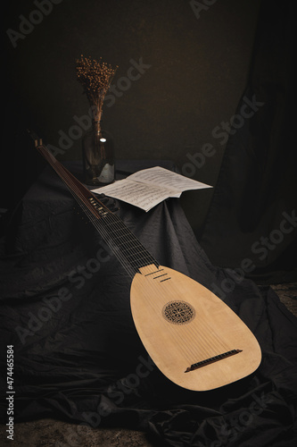 Still life with theorbo of the 17th century. ................................