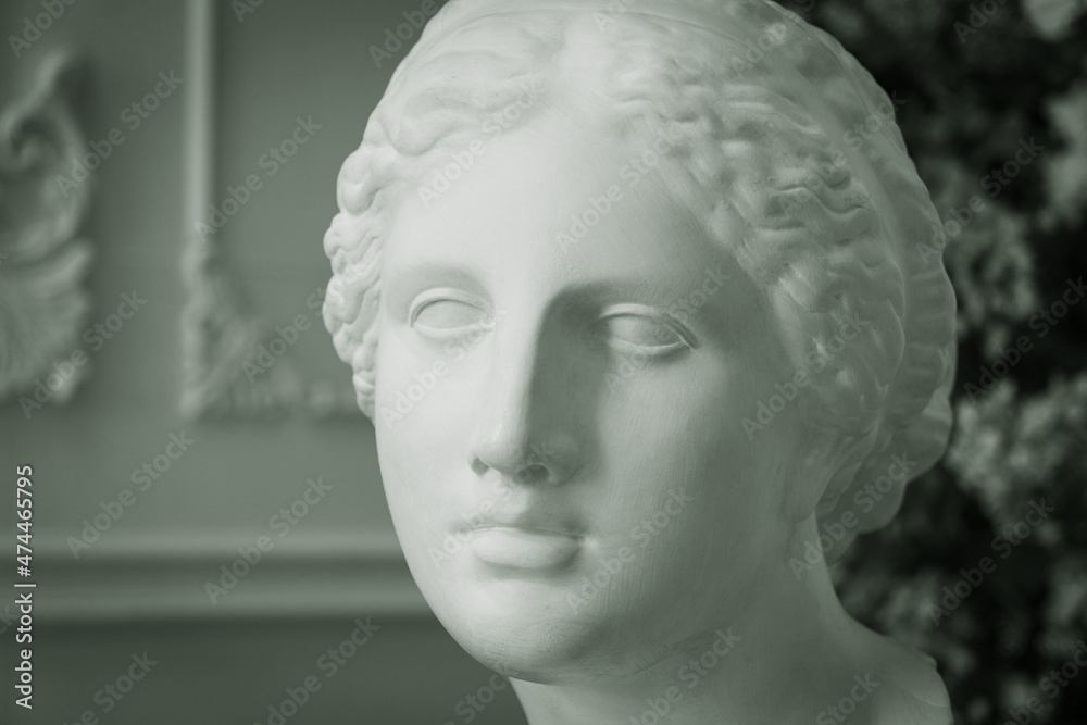 Obraz premium Luxurious interior in the vintage style. Statues in antique style. ..