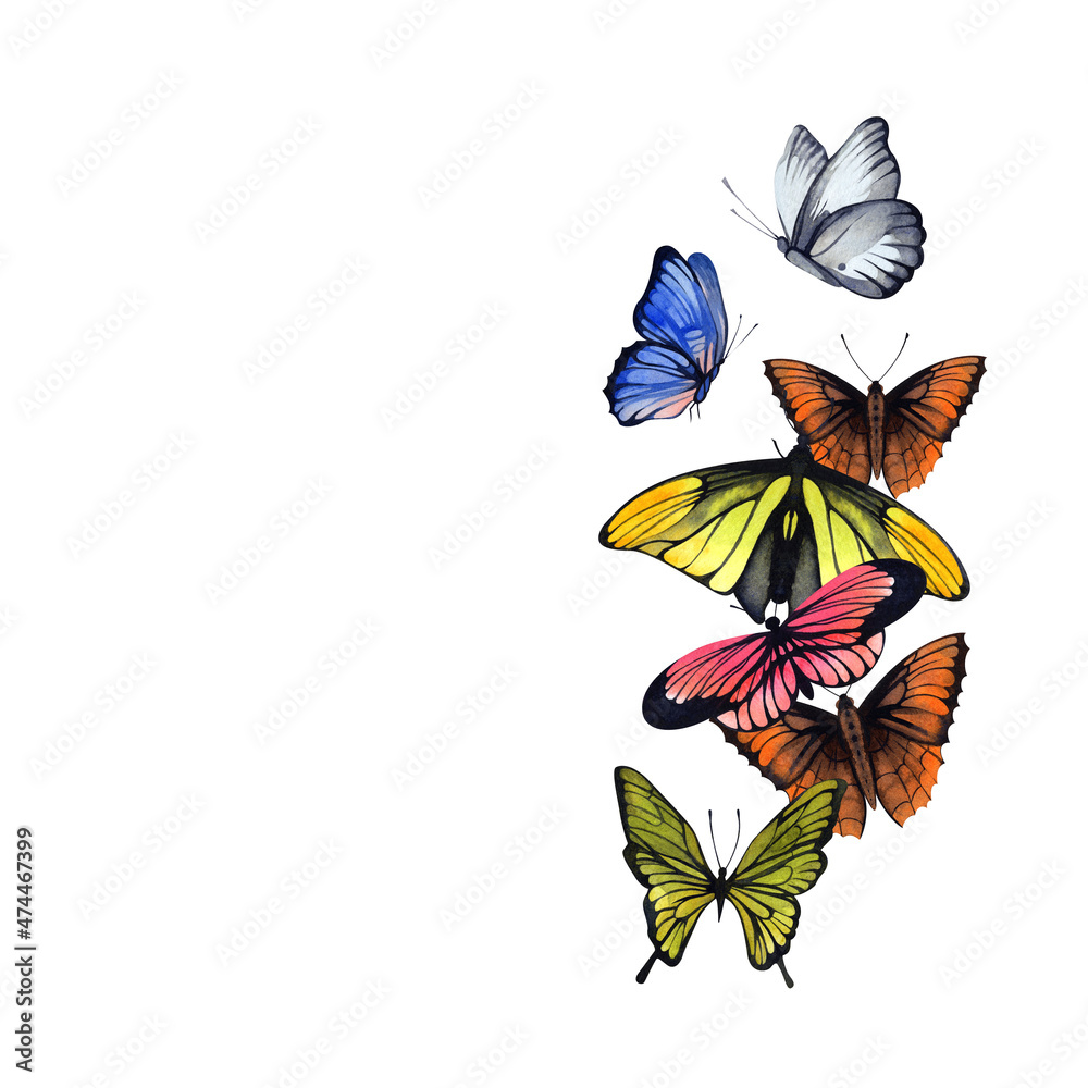 custom made wallpaper toronto digitalIllustration of butterflies. Watercolor. A ready-made template for the design of cards, flyers, invitations.