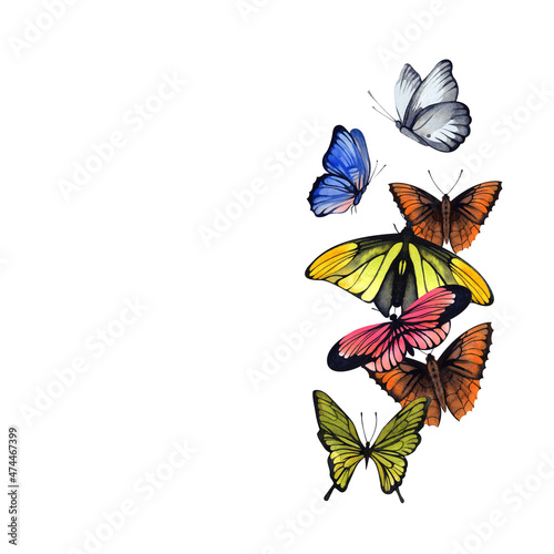 Wallpaper Mural Illustration of butterflies. Watercolor. A ready-made template for the design of cards, flyers, invitations. Torontodigital.ca