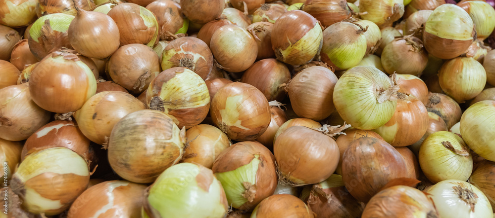 Fresh onion in a market. Raw white on the counter. Fresh onion in a market. Raw white on the counter.