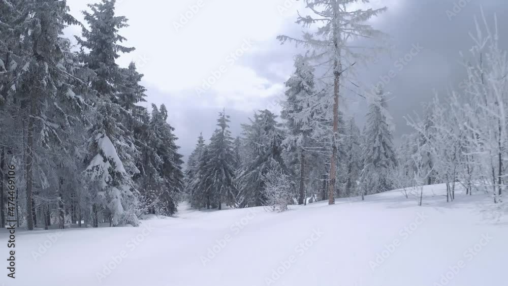 Aerial view of a fabulous winter mountain landscape close to tree branches. Fast smooth flight between snow-covered trees. Ukraine, Carpathian Mountains. Filmed on FPV drone. Aerial view of a fabulous winter mountain landscape close to tree branches. Fast smooth flight between snow-covered trees. Ukraine, Carpathian Mountains. Filmed on FPV drone.