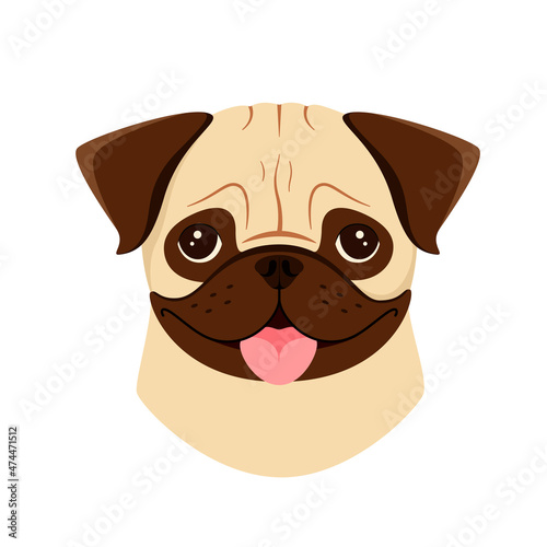 The head of a cute pug on a white background. Cartoon dog design. 