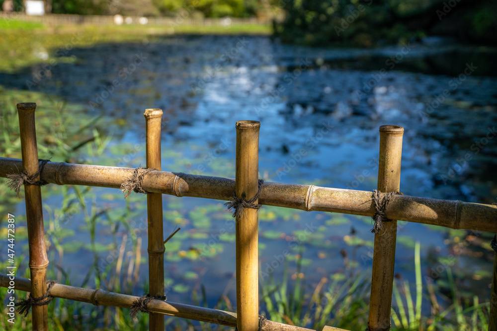 Fototapeta premium 池のある公園