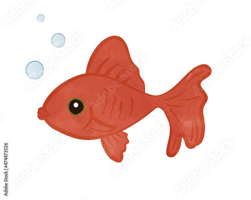 Red goldfish single item illustration