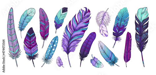 Tribal feather. Hand drawn bird quill with Indian ethnic ornaments and vintage rustic textures. Native American natural plumage decoration. Writing pen. Vector violet Boho elements set