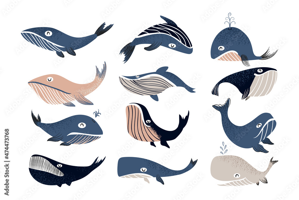 Cartoon whale. Cute marine mammal characters. Blue ocean animal for children illustration. Sea cachalot. Swimming humpback with water fountain. Vector underwater fauna elements set Cartoon whale. Cute marine mammal characters. Blue ocean animal for children illustration. Sea cachalot. Swimming humpback with water fountain. Vector underwater fauna elements set