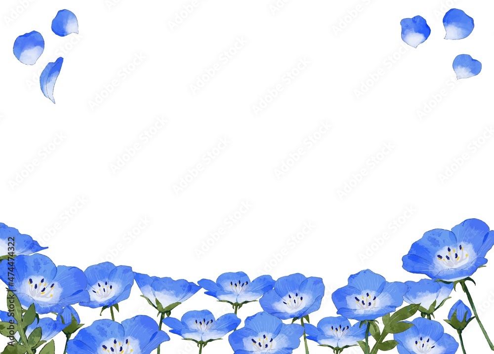 ネモフィラ 水彩風イラストフレーム Stock Vektorgrafik Adobe Stock