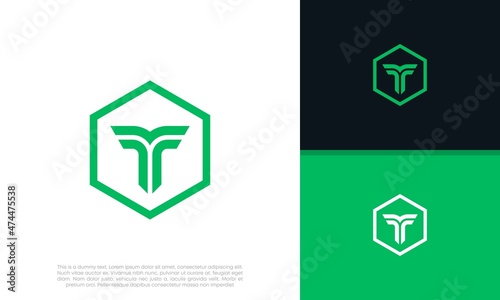 Initials T logo design. Initial Letter Logo.