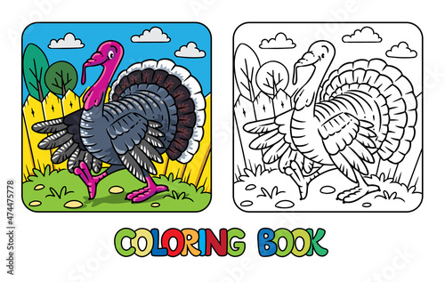 Funny turkey. Farm animals coloring book series