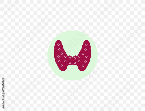 Endocrine gland, thyroid. Vector illustration. Flat design.