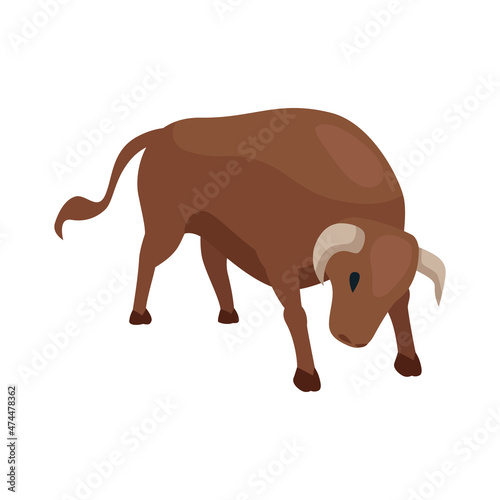 Angry Bull Fight Composition