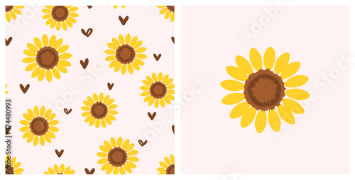 Seamless pattern with sunflower and hand drawn hearts on pink background vector.