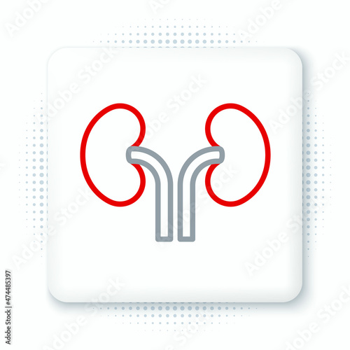 Line Human kidneys icon isolated on white background. Colorful outline concept. Vector