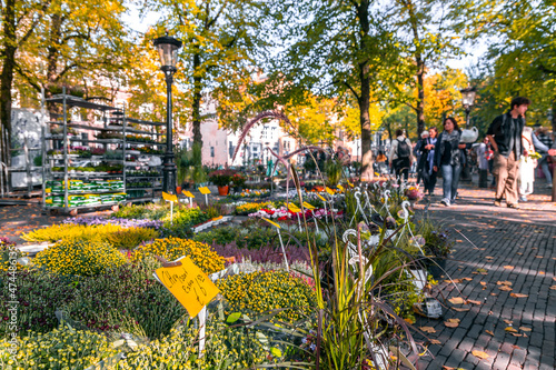 Weekly flower market at Janskerkhof (Janskerkhof Bloenmarkt) in Utrecht, Netherlands photo