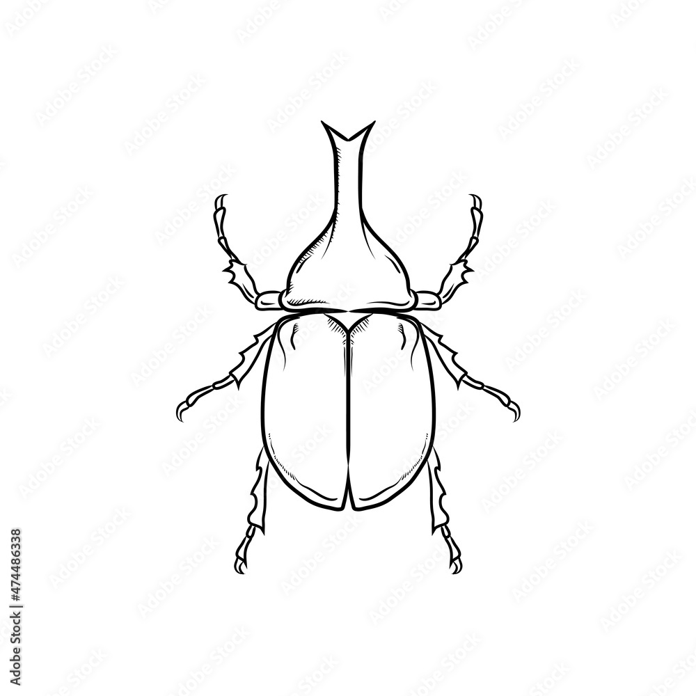 vector black stripes rhinoceros beetle, hercules beetle, unicorn beetle, horned  beetle, male on white background vector de Stock | Adobe Stock