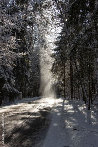wald, winter, schnee,  © karlJ