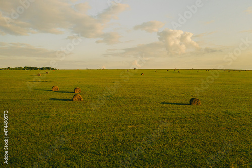 Rolls of hay on a field
