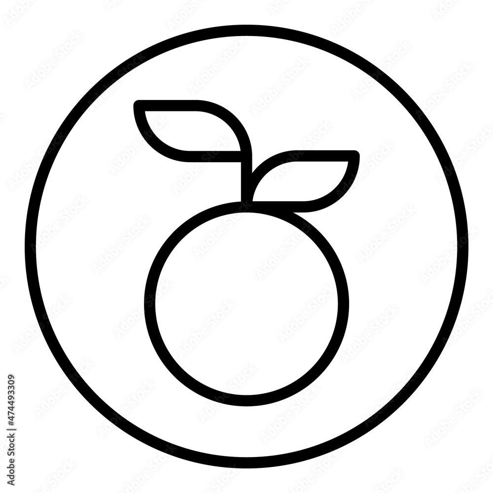 Orange Fruit Flat Icon Isolated On White Background Orange Fruit Flat Icon Isolated On White Background