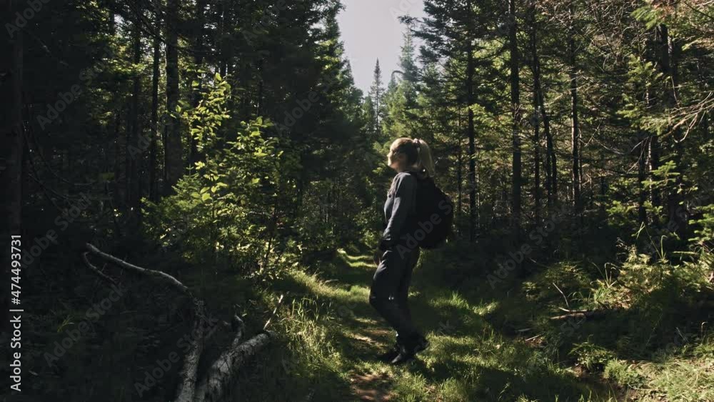 Traveler photographing scenic view in forest. One caucasian woman shooting nice magic look. Girl take photo video on dslr mirrorless camera. Traveler photographing scenic view in forest. One caucasian woman shooting nice magic look. Girl take photo video on dslr mirrorless camera.