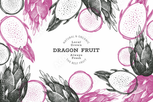 Hand drawn dragon fruit design template. Organic fresh food vector illustration. Retro pitaya fruit banner.