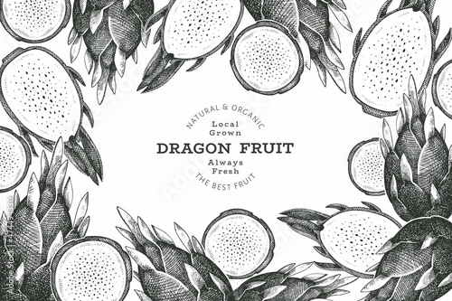 Hand drawn dragon fruit design template. Organic fresh food vector illustration. Retro pitaya fruit banner.