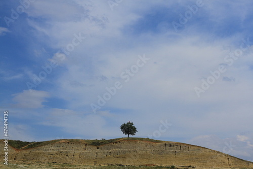 Fototapeta Naklejka Na Ścianę i Meble -  Scenery of lonely tree on the top of the hill with cloudy blue sky