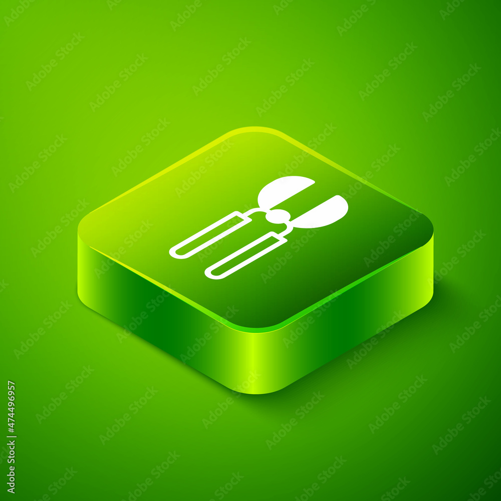 Isometric Gardening handmade scissors for trimming icon isolated on green background. Pruning shears with wooden handles. Green square button. Vector Isometric Gardening handmade scissors for trimming icon isolated on green background. Pruning shears with wooden handles. Green square button. Vector