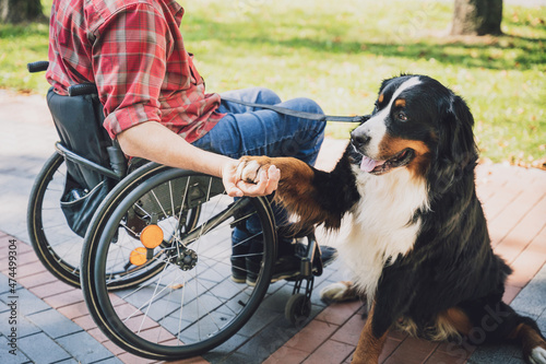 Happy young man with a physical disability in a wheelchair with his dog. © romaset