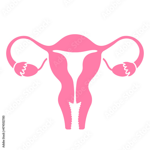 Uterus vector icon
