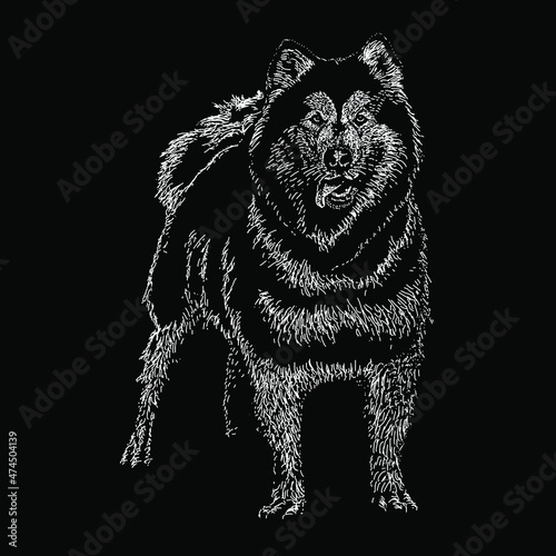 alaskan malamute dog hand drawing vector illustration isolated on black background 