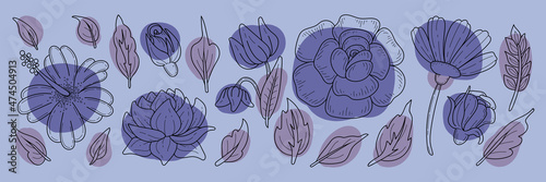 Set of flower buds and leaves thin line art. Graphic vector illustration of plants hand drawn on colored background very peri. Doodle style outline banner.