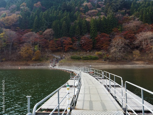 the beautiful autumn leaves of lake okutama in Tokyo photo