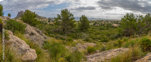Panorama of landscape of the Sierra de Tramuntana near Puerto de Pollensa (Port de Pollensa) with typical mediterranean vegetation, Mallorca island, Balearic islands, Spain photo