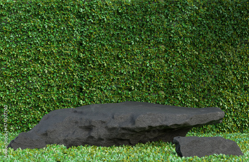 Black stone podium for product presentation on green leaves wall background natural style.,3d model and illustration.