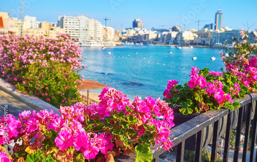 Flower decoration of the city, Sliema, Malta photo