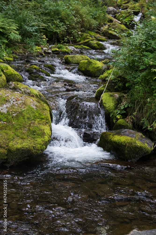 Cascading down a small mountain stream, the water runs over basalt boulders. A small waterfall runs through the moss.