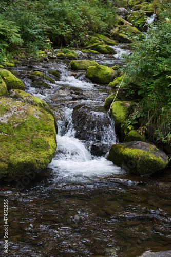 Cascading down a small mountain stream, the water runs over basalt boulders. A small waterfall runs through the moss.