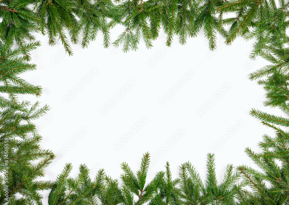 Fototapeta premium Simple Christmas frame made of fir branches on white background