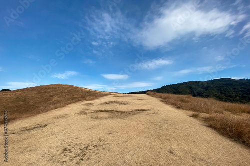 若草山 登山道