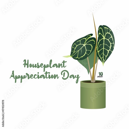 vector graphic of houseplant appreciation day good for houseplant appreciation day celebration. flat design. flyer design.flat illustration.